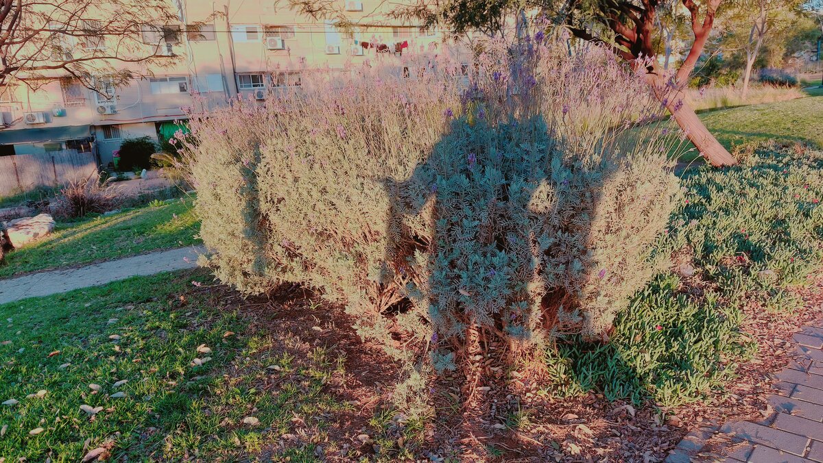 12  КЛОС (716) - CLOSE WAYS ALL