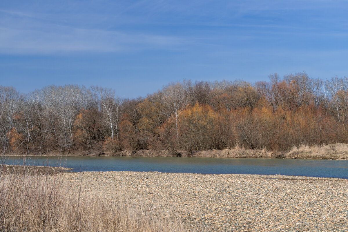 Пригрело солнышко и на прогулку! - Игорь Сикорский Пригрело солнышко и на прогулку! - Игорь Сикорский
