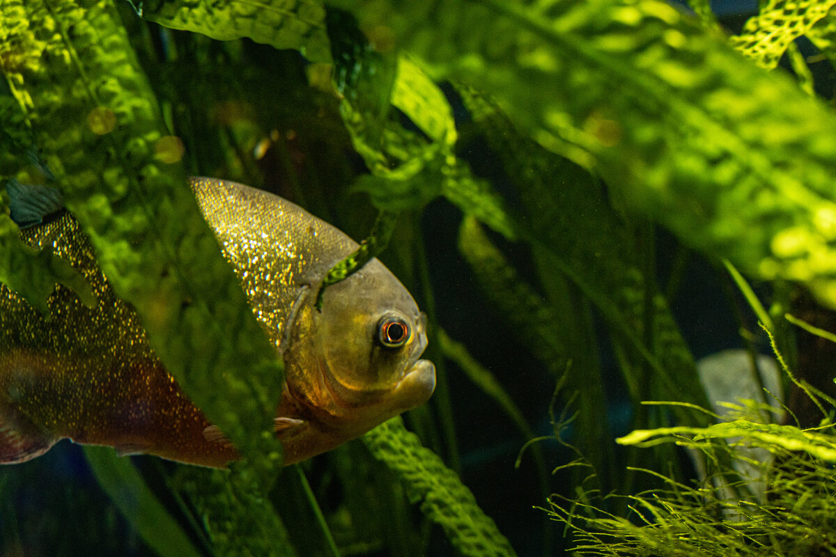 бррр - Анастасия Фотографовна