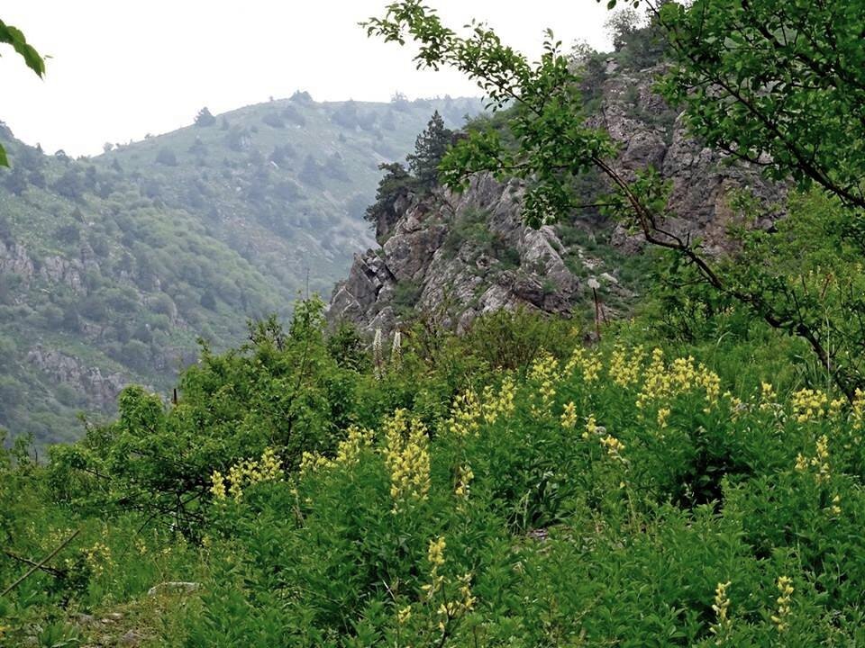 ЛЮБИМАЯ И БЛИЗКАЯ РЕЧКА - Виктор Осипчук ЛЮБИМАЯ И БЛИЗКАЯ РЕЧКА - Виктор Осипчук