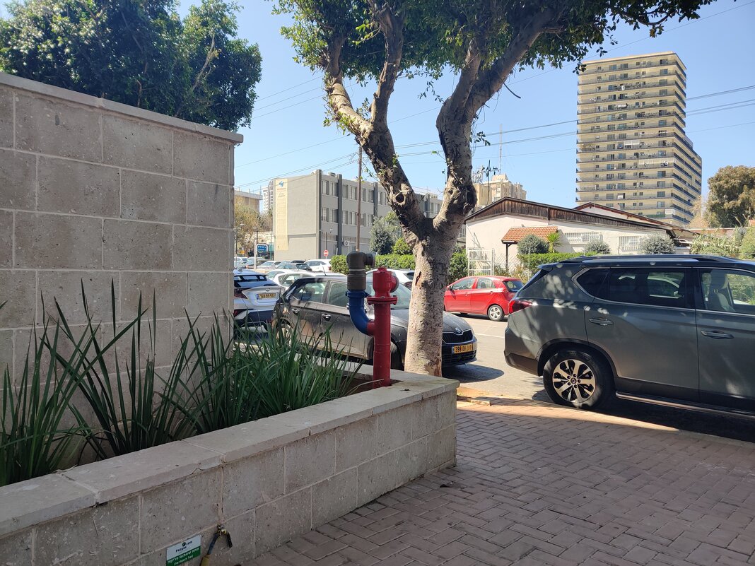 Выход подъезда из моего дома . - Светлана Хращевская Выход подъезда из моего дома . - Светлана Хращевская