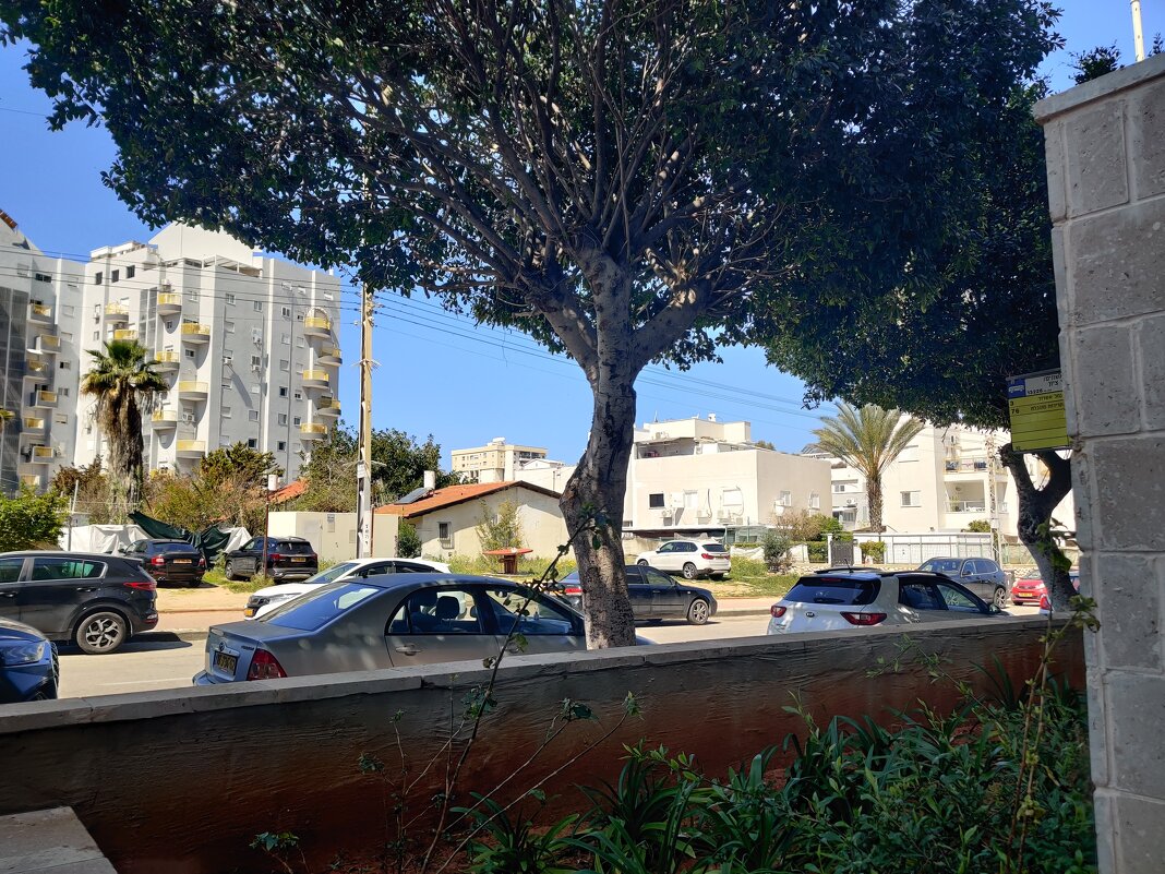 Выход из дома. - Светлана Хращевская