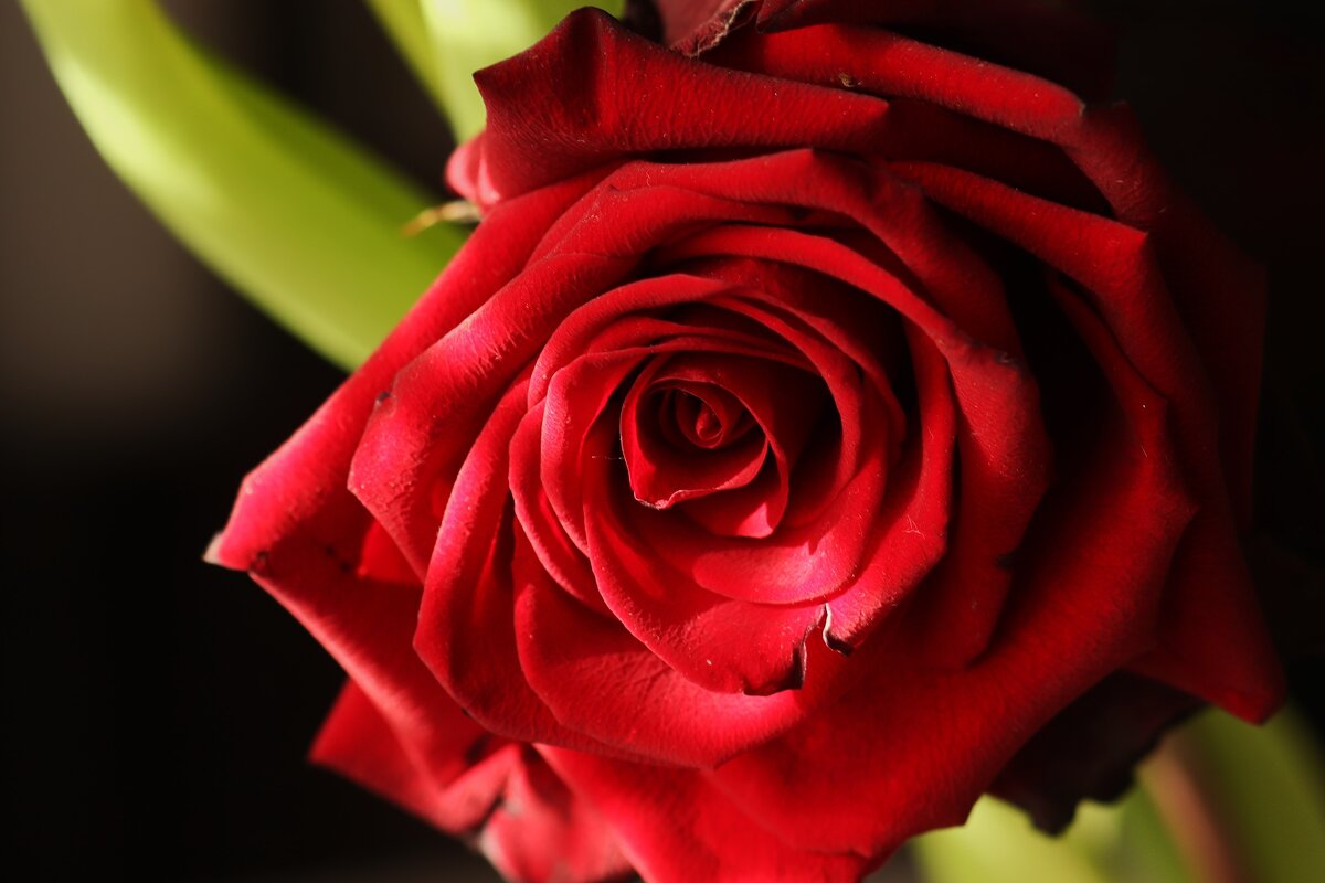 Добрый день - Юрий. Шмаков