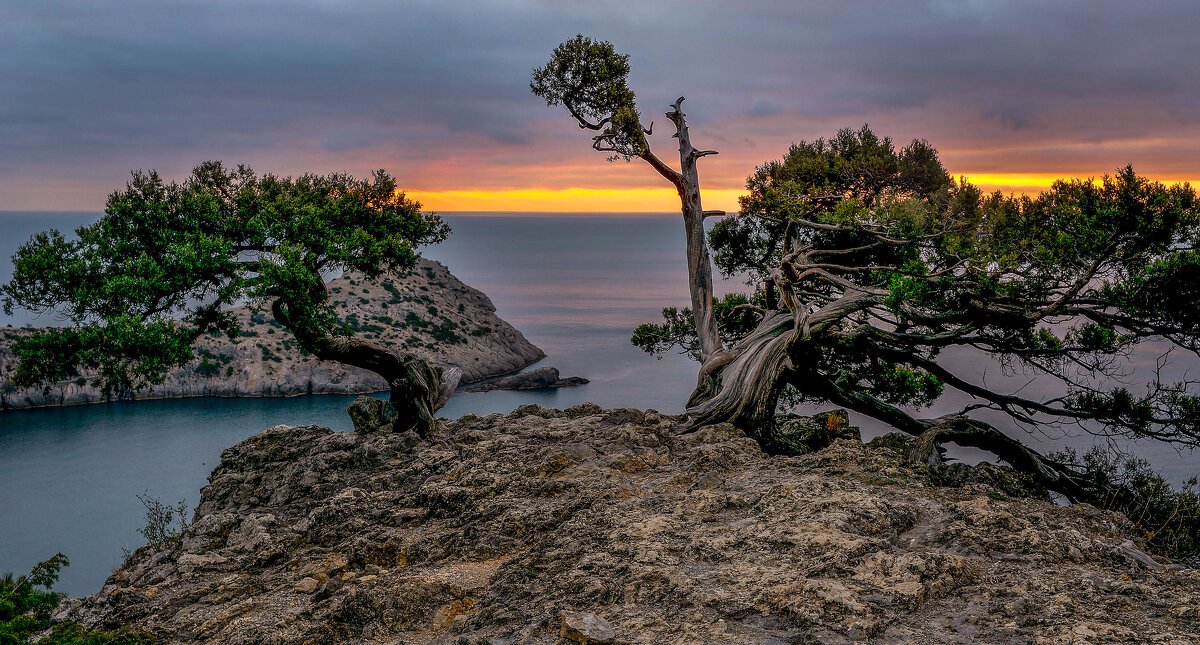 Утро нового дня. - Сергей Воротников