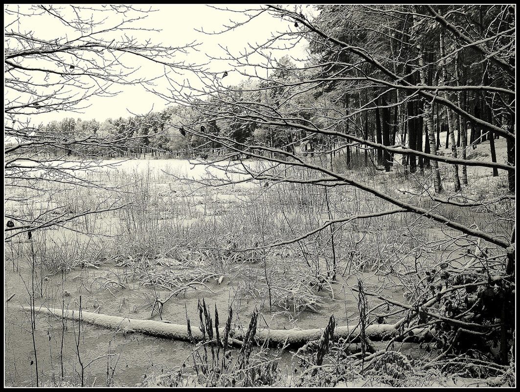 Этюд зимнего озера - Aleksandr Gal Этюд зимнего озера - Aleksandr Gal