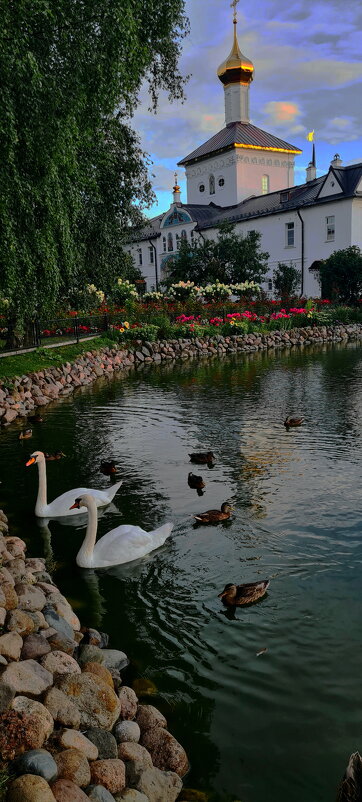 Лебеди и не совсем дикие - Юля Сrane Лебеди и не совсем дикие - Юля Сrane