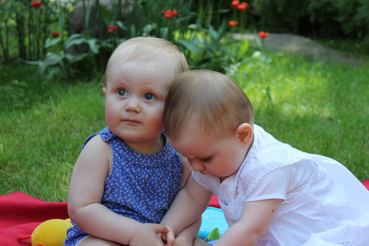 Сестрички - Ирина Ватолина