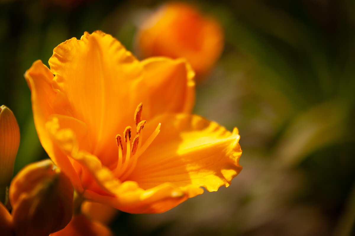 & - Prinz Eugen & - Prinz Eugen