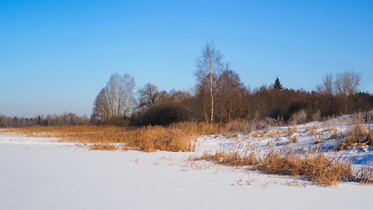 Смоленщина в конце зимы (репортаж из поездок по области) - Милешкин Владимир Алексеевич 