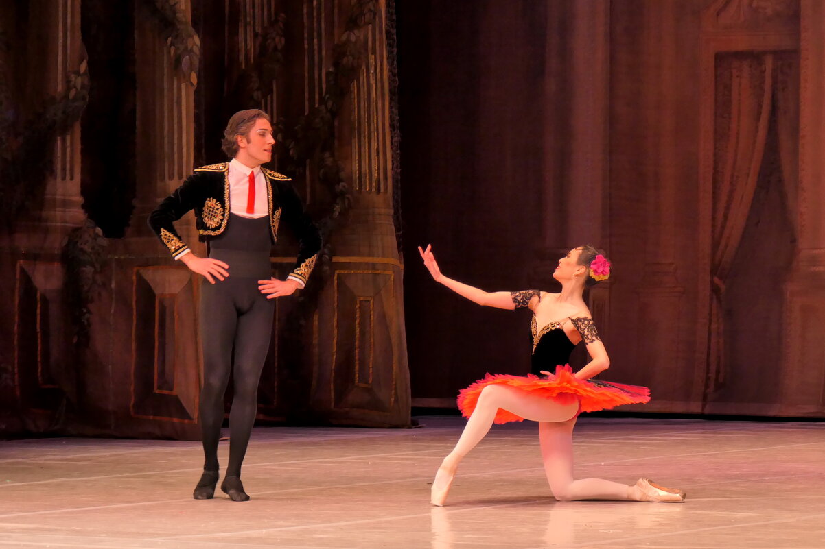 Балет "Дон Кихот" - Валерий Судачок Балет "Дон Кихот" - Валерий Судачок