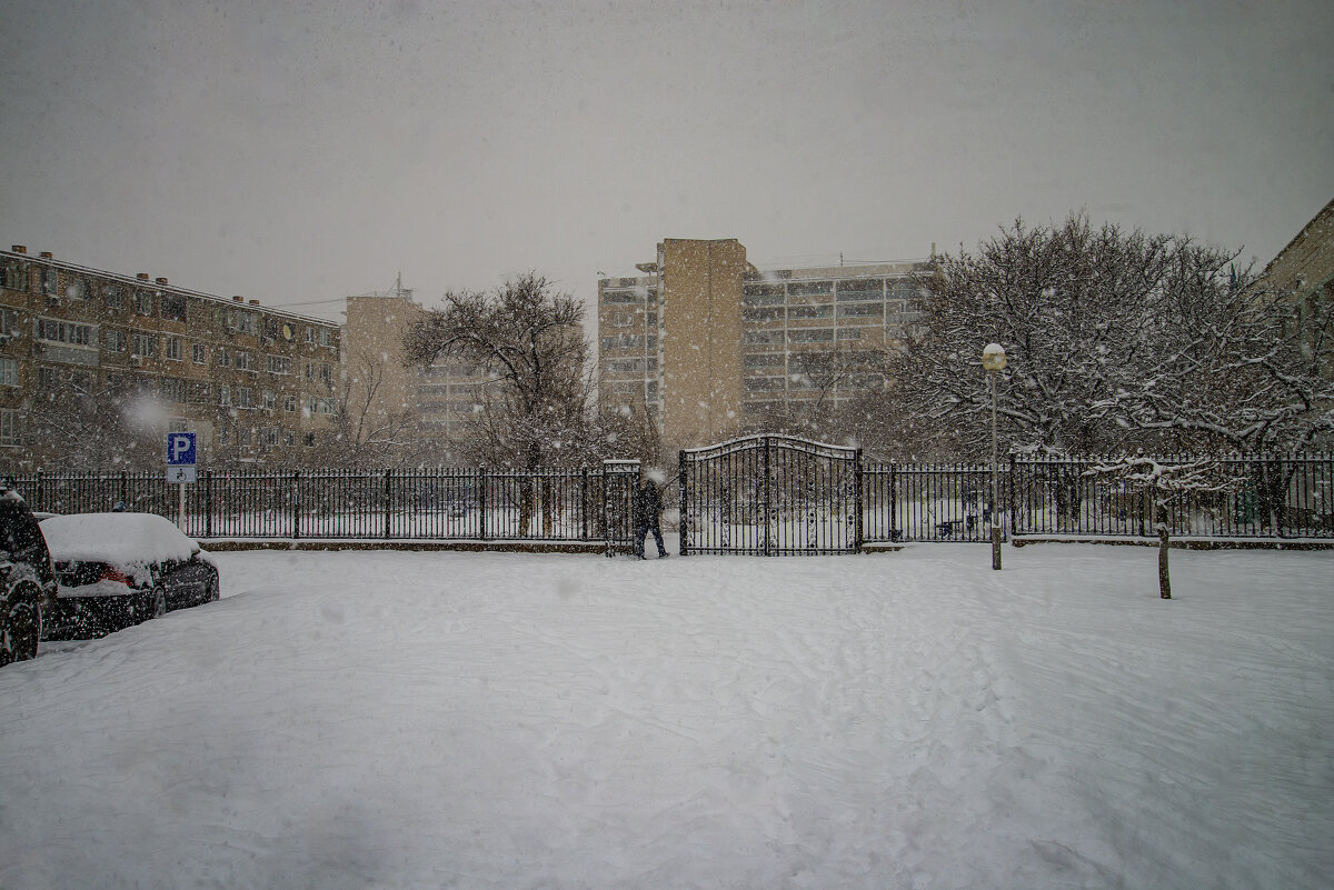 Снег - Анатолий Чикчирный Снег - Анатолий Чикчирный