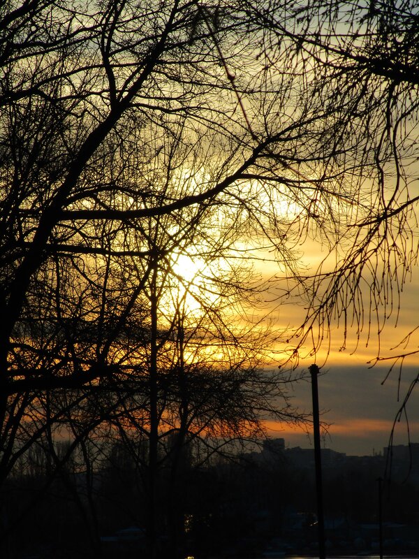 закат - Елена Шаламова