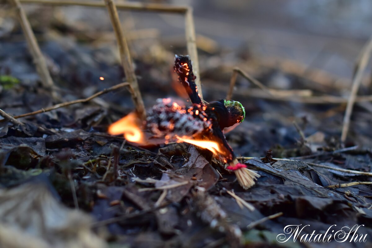 Гори, гори ясно... - Наталья Вязигина