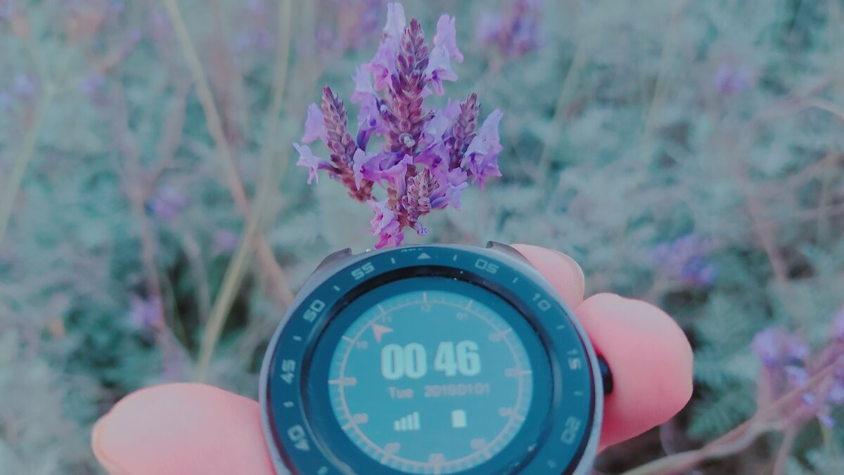 12  КЛОС (719) - CLOSE WAYS ALL