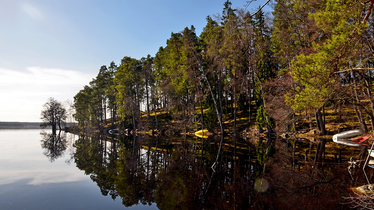 В мартовское утро на озере - Alexandеr P
