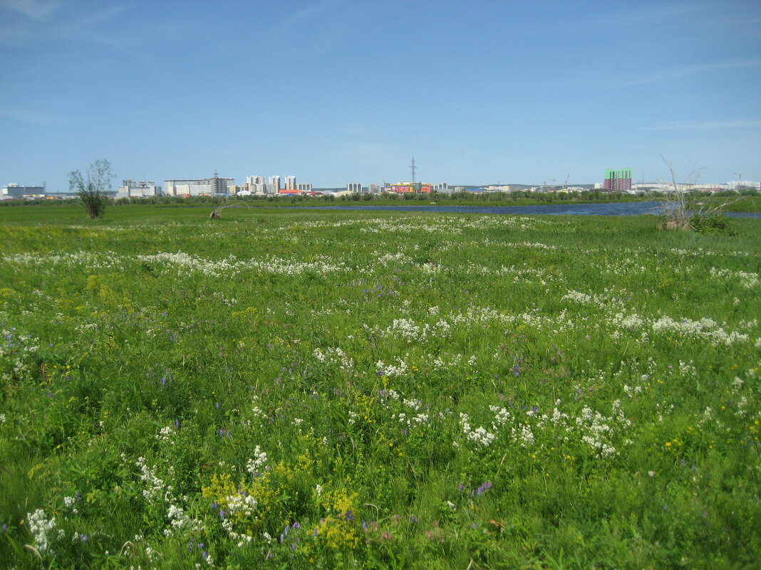 Лето - Anna Ivanova Лето - Anna Ivanova