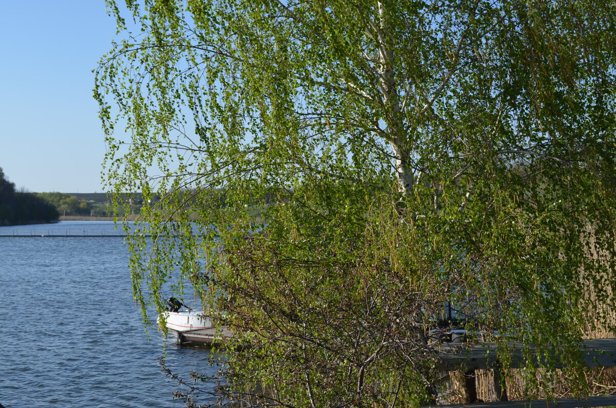 ,,, - Сергей Тимоновский