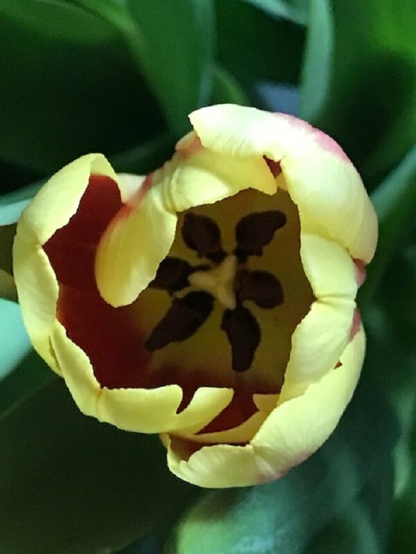 !!! - Татьяна Юрасова