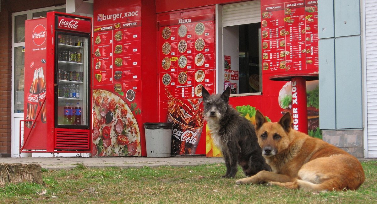 . - Александр Хоменко