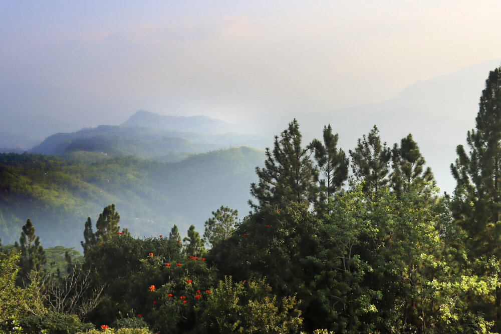 Горная часть Шри-Ланки - Галина Ильясова Горная часть Шри-Ланки - Галина Ильясова