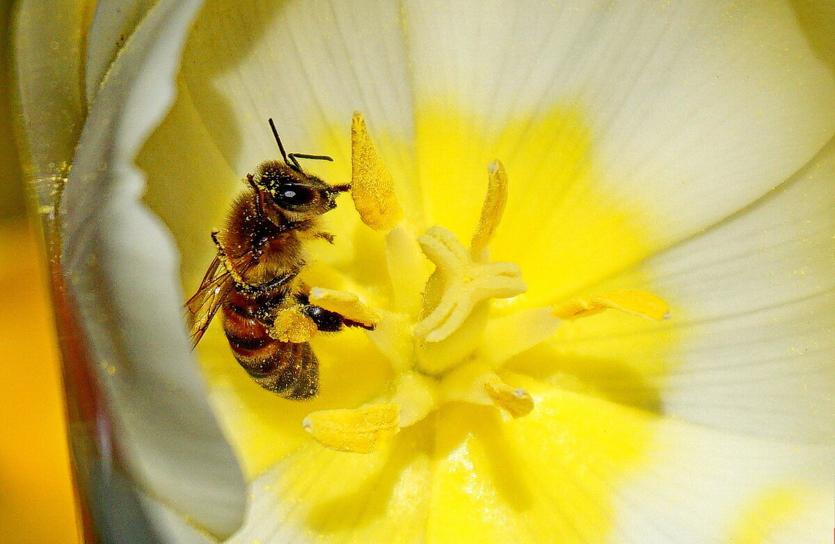 Начало сезона... - Николай Саржанов Начало сезона... - Николай Саржанов