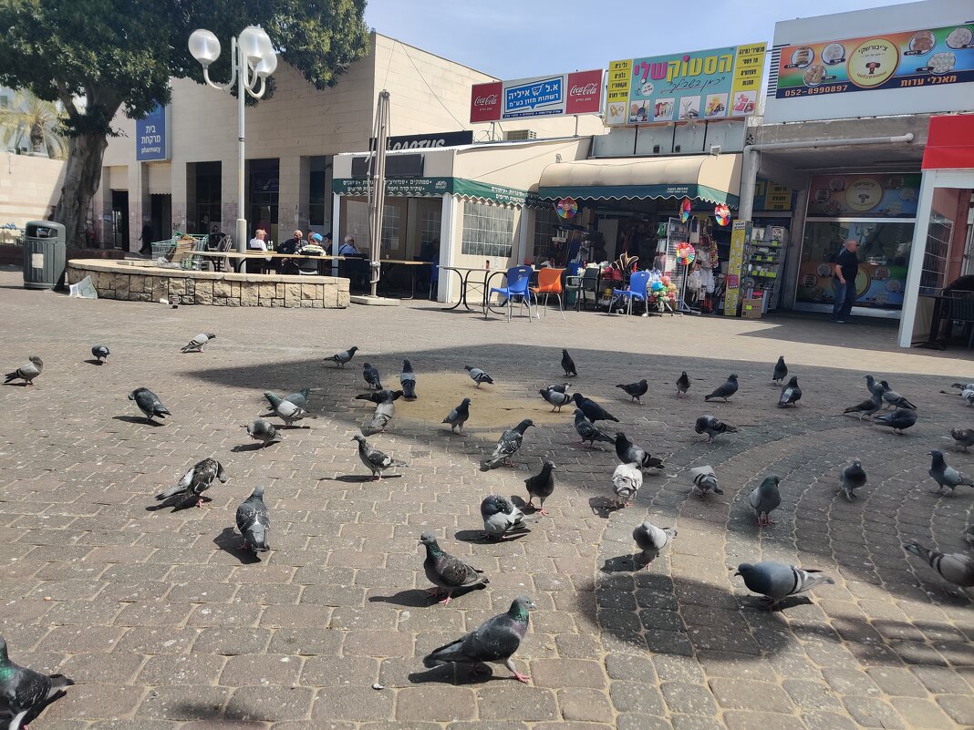 " - Светлана Хращевская