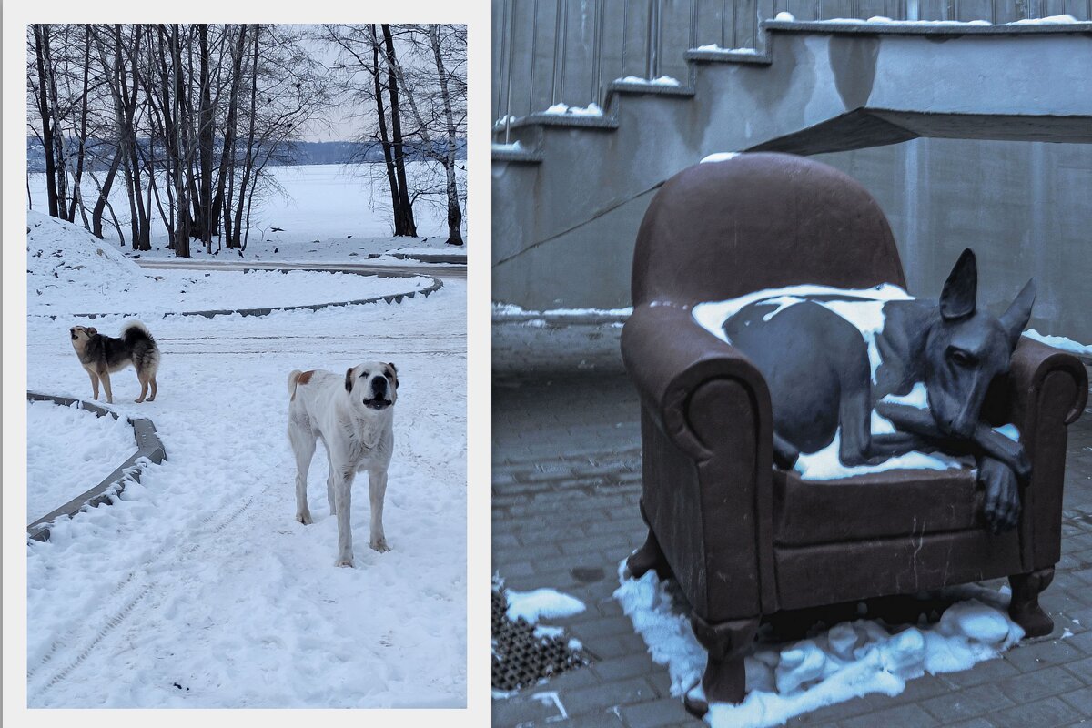 Охрана ЖК Z - town - Татьяна Машошина