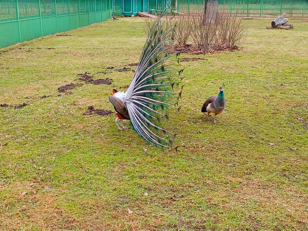 Напугал! - Лия ☼ Напугал! - Лия ☼