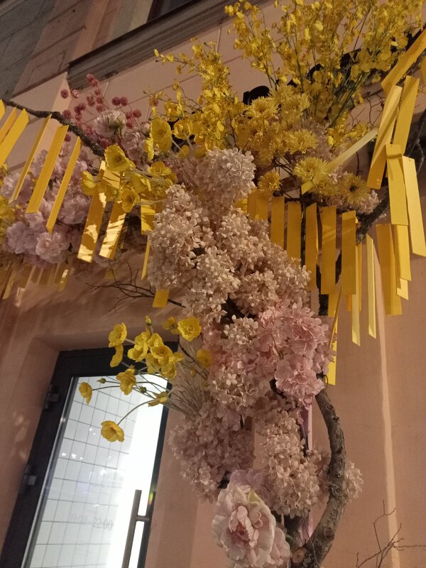 Санкт-Петербург - Юра Светлаков