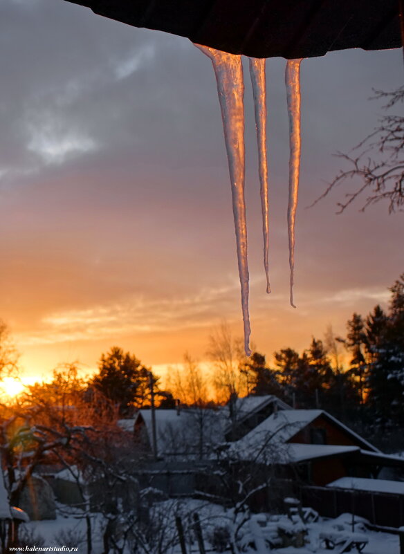 Весеннее утро - Игорь Корф