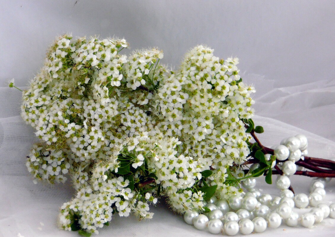 Немного о весне. - nadyasilyuk Вознюк