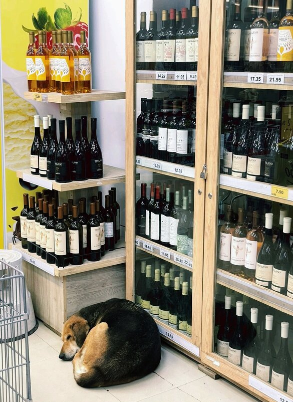 Охрана - Георгиевич Охрана - Георгиевич