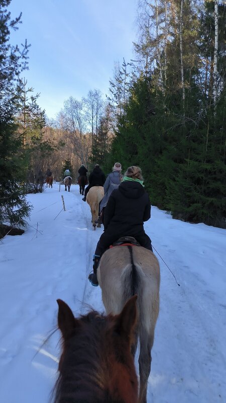 Прогулка. - Ольга 