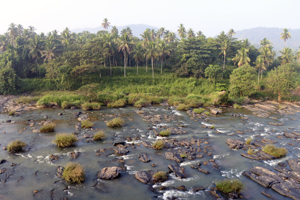 Река Маха-Ойа ранним утром - Галина Ильясова Река Маха-Ойа ранним утром - Галина Ильясова