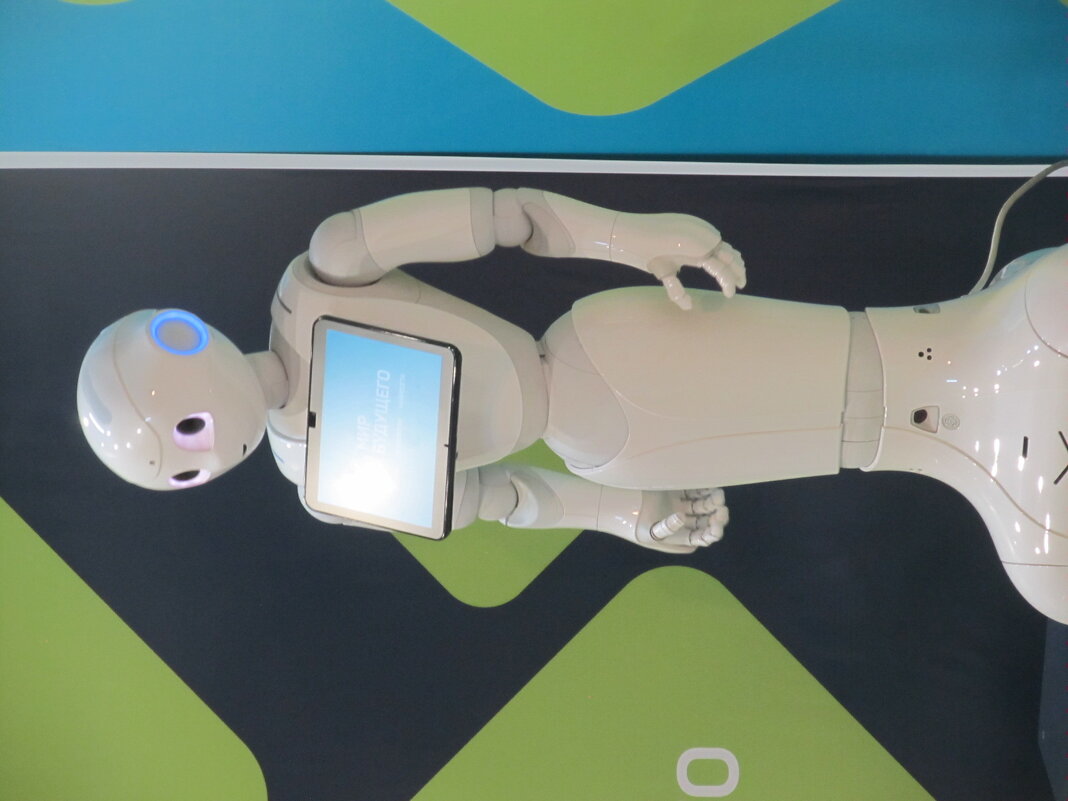 на выставке Новороссийск - Елена Шаламова на выставке Новороссийск - Елена Шаламова