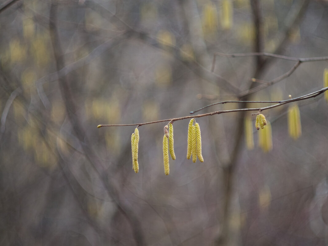 ___ - Yuriy V ___ - Yuriy V