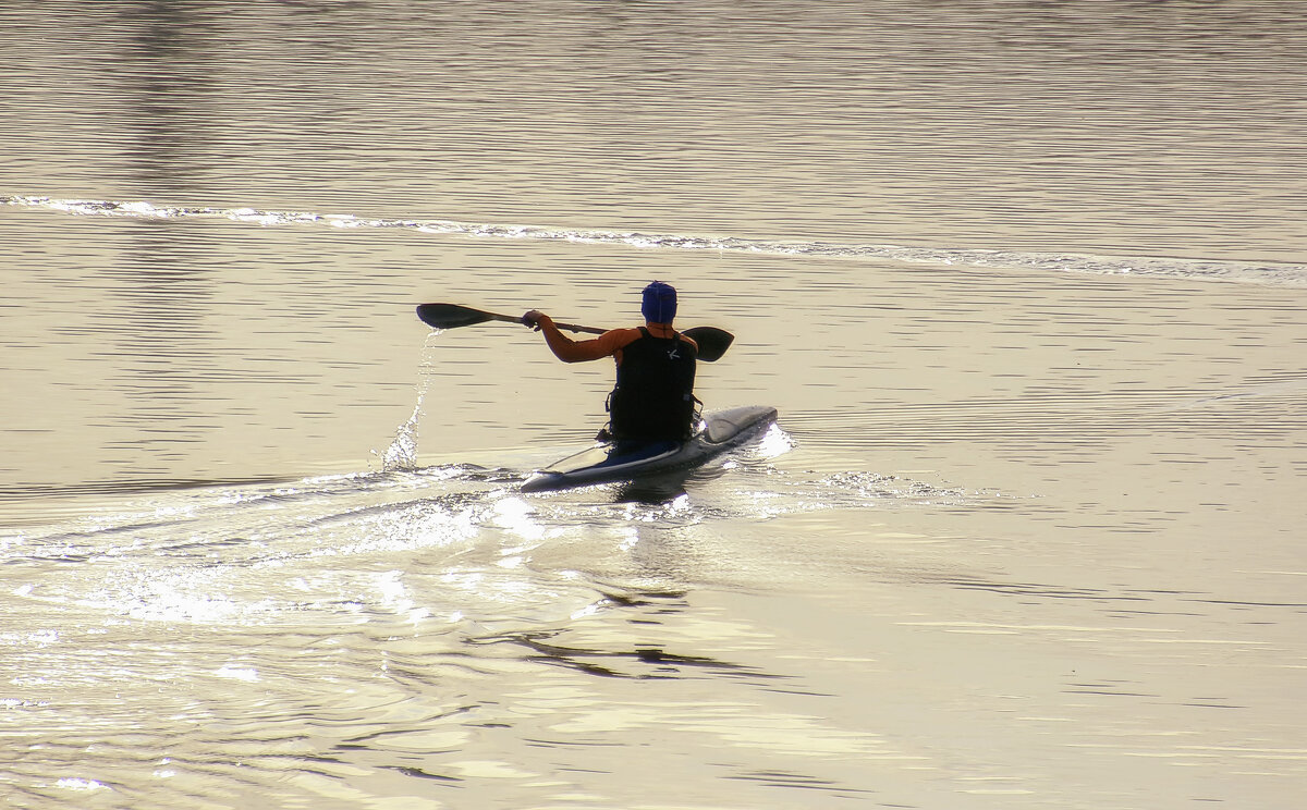 **** - Андроник Александр 