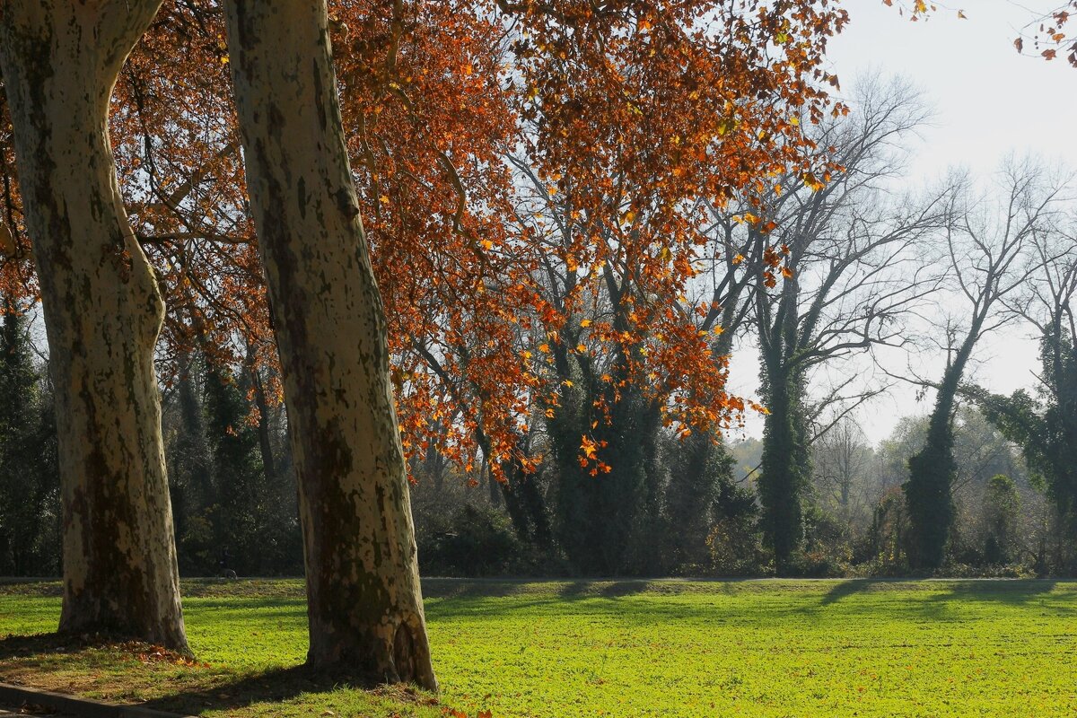 Поздняя осень - Юрий. Шмаков Поздняя осень - Юрий. Шмаков