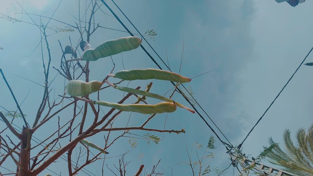 12  КЛОС (727) - CLOSE WAYS ALL