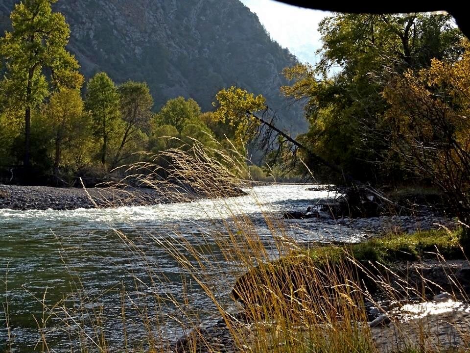 ГОРНАЯ ПРОГУЛКА. - Виктор Осипчук ГОРНАЯ ПРОГУЛКА. - Виктор Осипчук