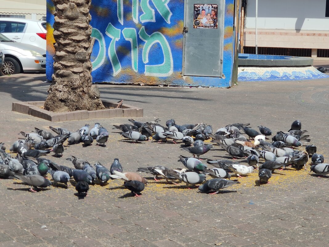 " - Светлана Хращевская