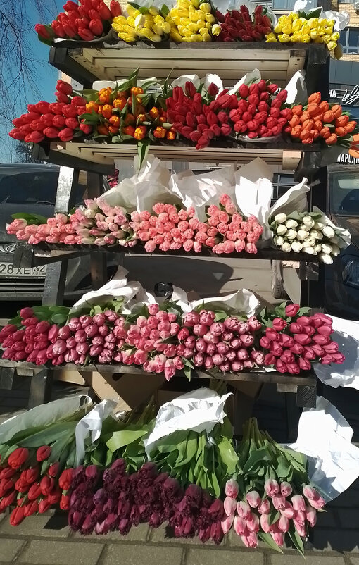 *** - Валентина Береснева