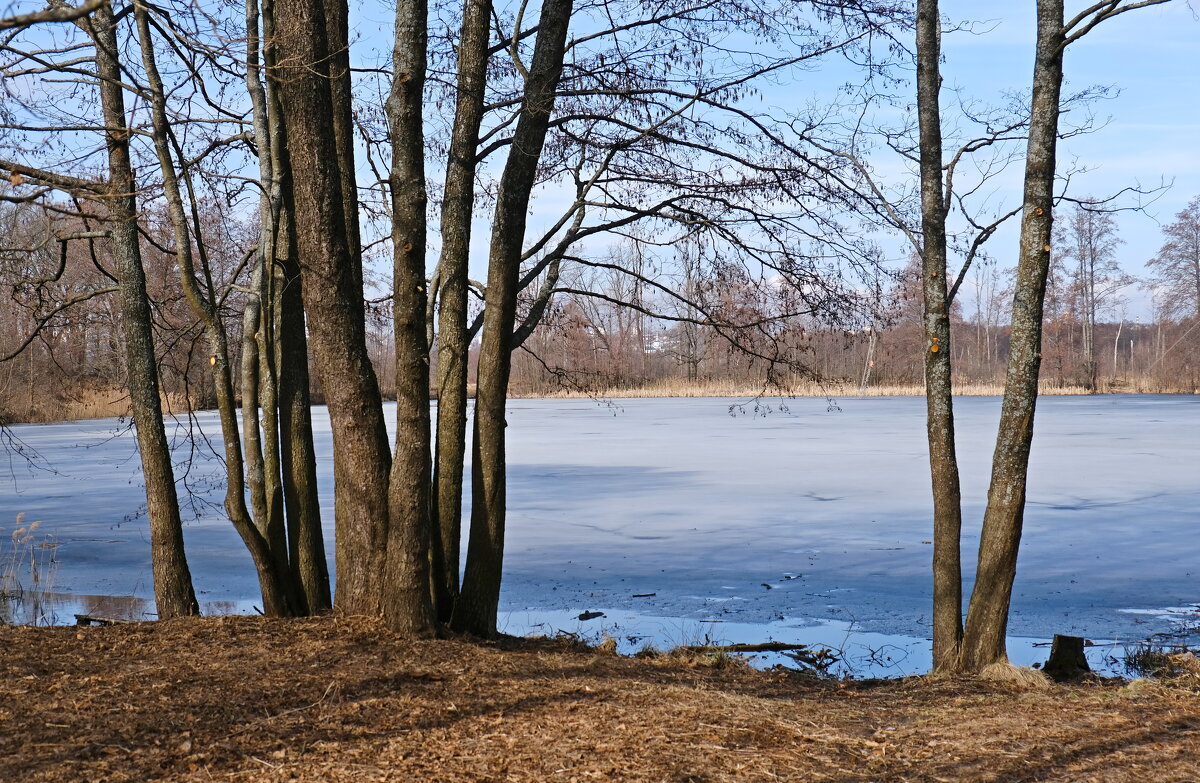 Последний лед - Андрей Зайцев Последний лед - Андрей Зайцев
