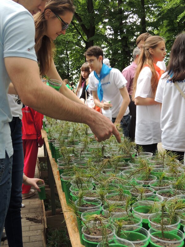 Так они ещё растут - Николай ntv Так они ещё растут - Николай ntv