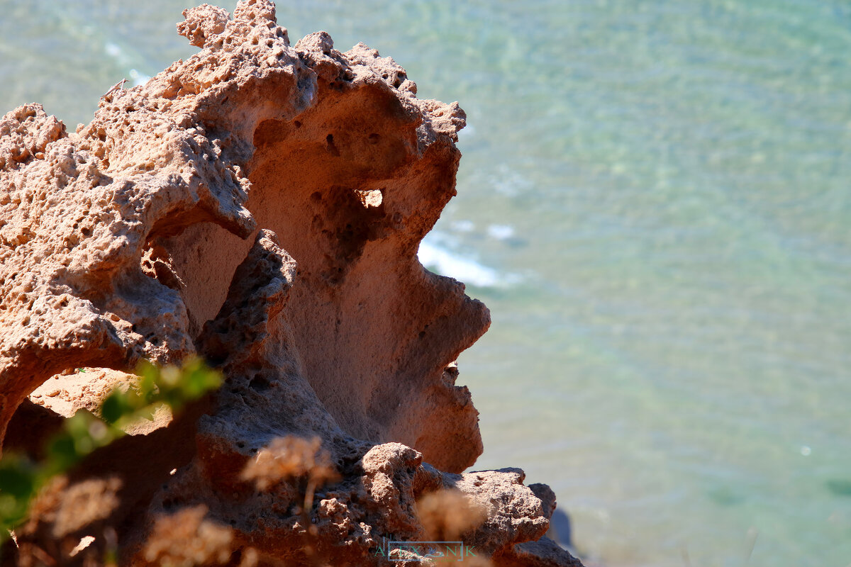 Профиль. - Argaman Табашник Профиль. - Argaman Табашник