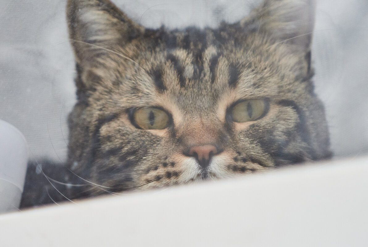 вид из окна - Александр Леонов вид из окна - Александр Леонов