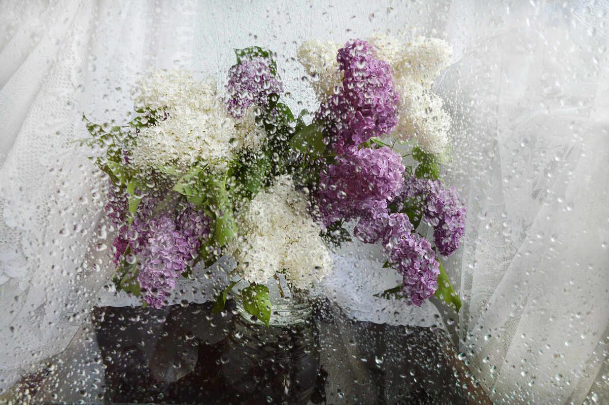 Сиреневое настроение... - Надежда Куркина Сиреневое настроение... - Надежда Куркина