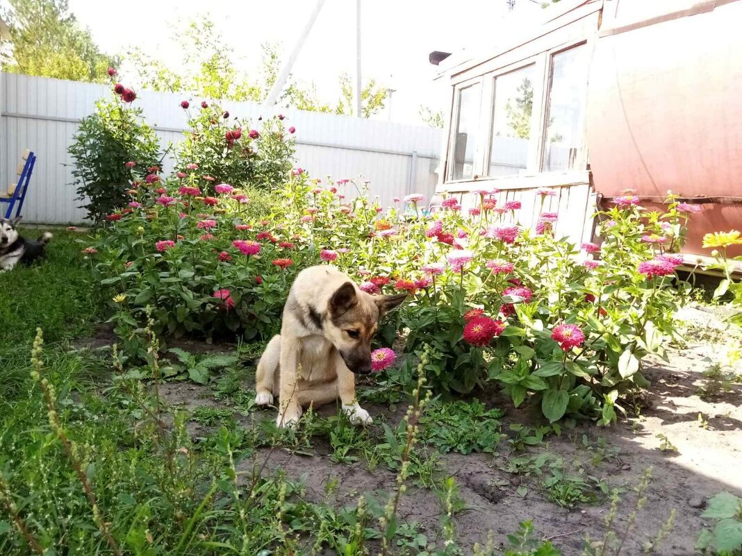 Малышка - Надежда Малышка - Надежда