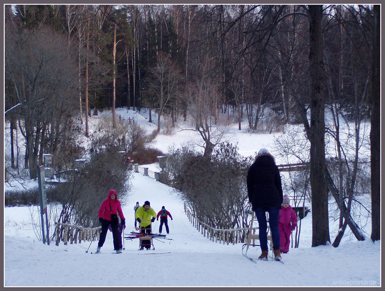 В Павловском парке... - vadim 
