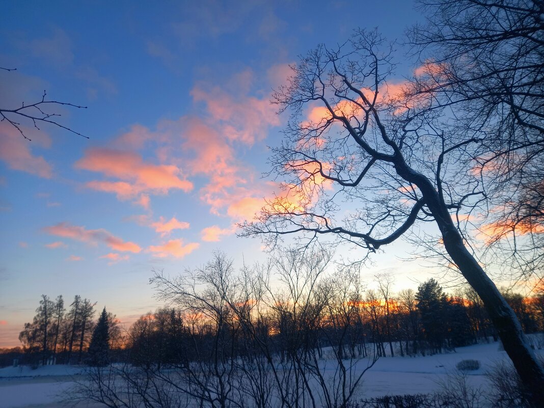 Закат - Сапсан 